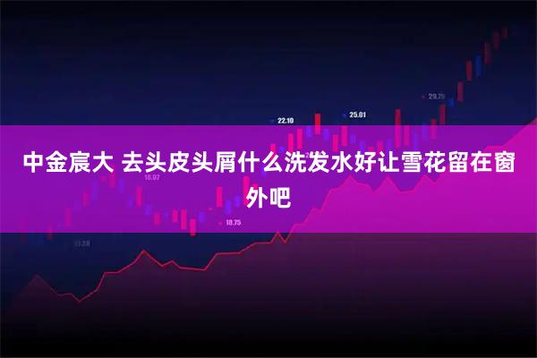 中金宸大 去头皮头屑什么洗发水好让雪花留在窗外吧