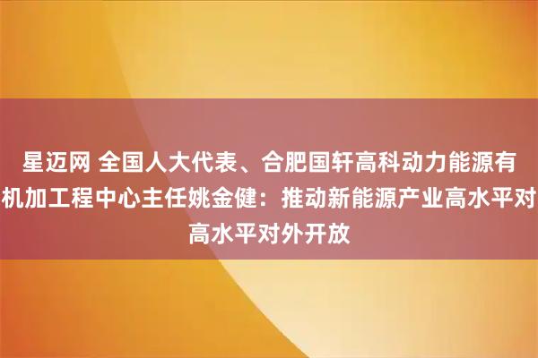 星迈网 全国人大代表、合肥国轩高科动力能源有限公司机加工程中心主任姚金健：推动新能源产业高水平对外开放