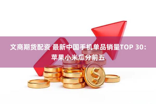 文商期货配资 最新中国手机单品销量TOP 30：苹果小米瓜分前五