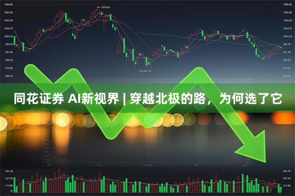 同花证券 AI新视界 | 穿越北极的路，为何选了它